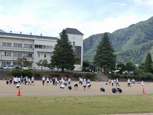 写真