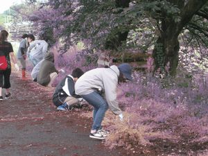 写真
